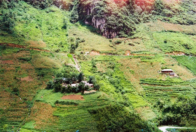 Aerial view of terraced fields and a small hamlet nestled on steep green mountainside in Ha Giang.