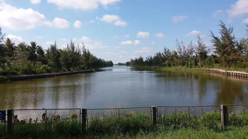 A calm canal lined with pine trees stretches under a blue sky in the Mekong Delta.