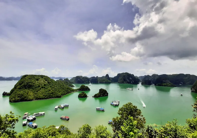 Limestone karst islands rise from emerald waters dotted with cruise boats in Ha Long Bay