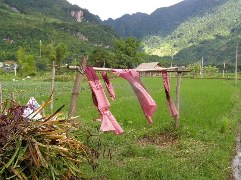 Pink woven scarves dry on a bamboo rack beside rice paddies and limestone mountains in Mai Chau.