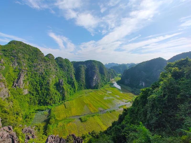 Sweeping view from Hang Mua of limestone karsts framing a winding river and rice fields in Ninh Binh.