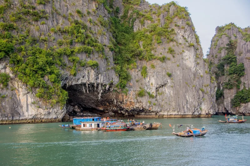 Fishing boats gather near a limestone karst cave entrance on the calm waters of Ha Long Bay.