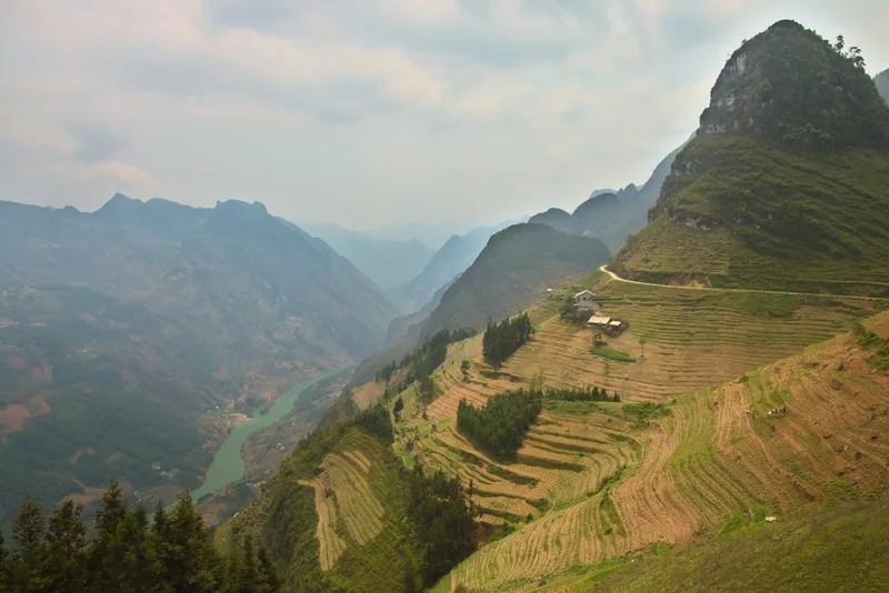 Terraced fields cascade down a steep mountain ridge above a winding river in Ha Giang province.
